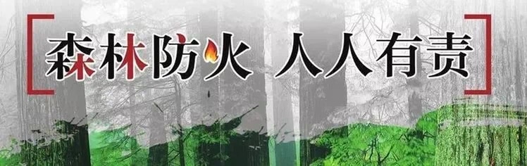 IMG_0224 IMG_0224.jpg?v=1762126995804