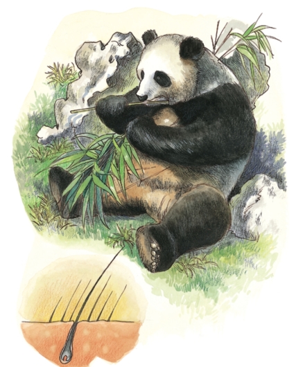 pagenumber_ebook=57,pagenumber_book=55