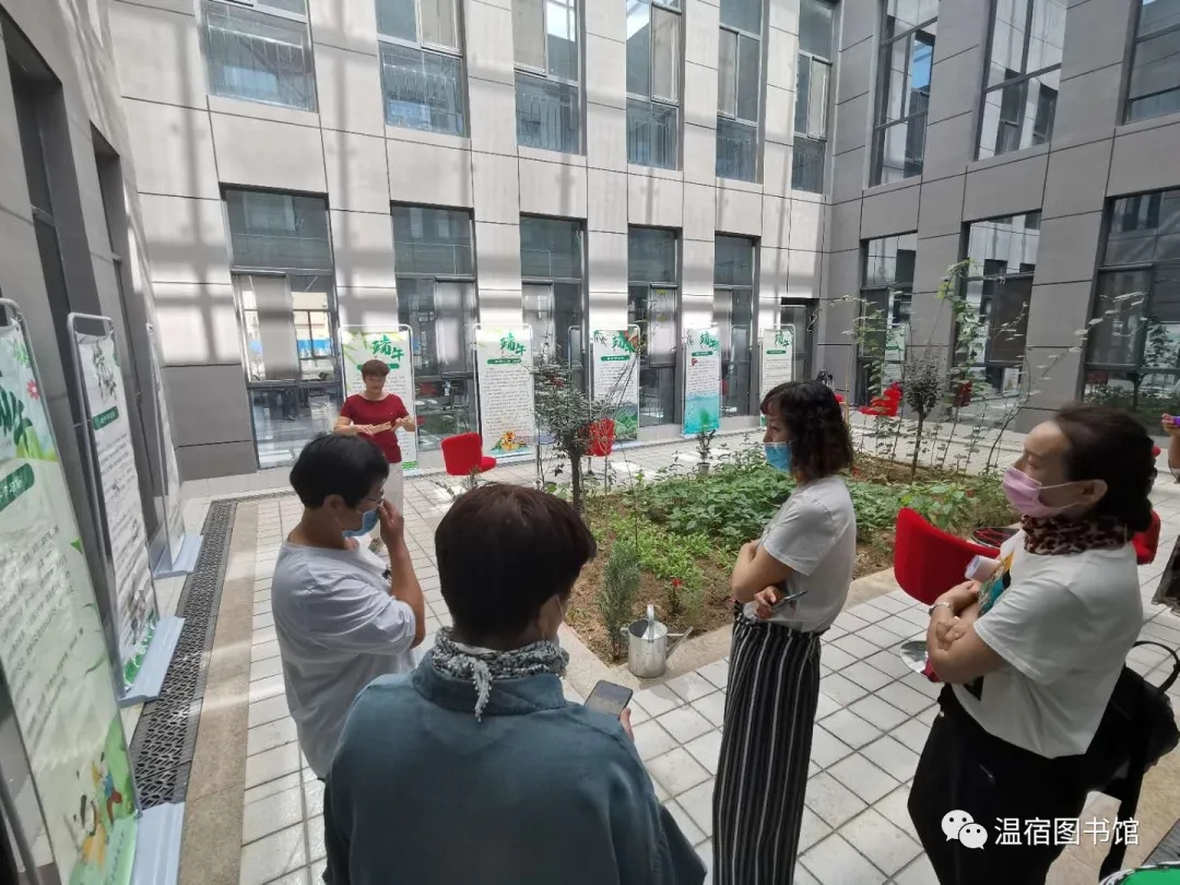 640.webp (2) 640.webp (2).jpg?v=1765697792629