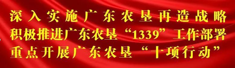 blob blob.png?v=1765592096789