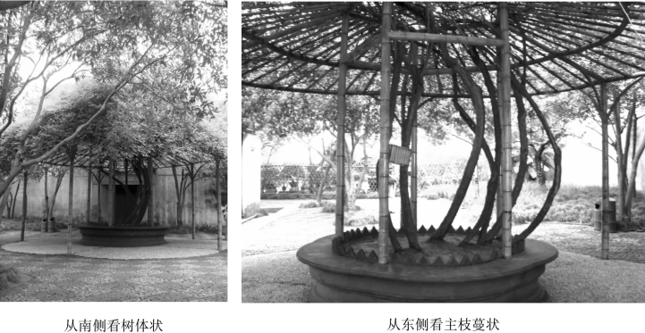 pagenumber_ebook=75,pagenumber_book=75