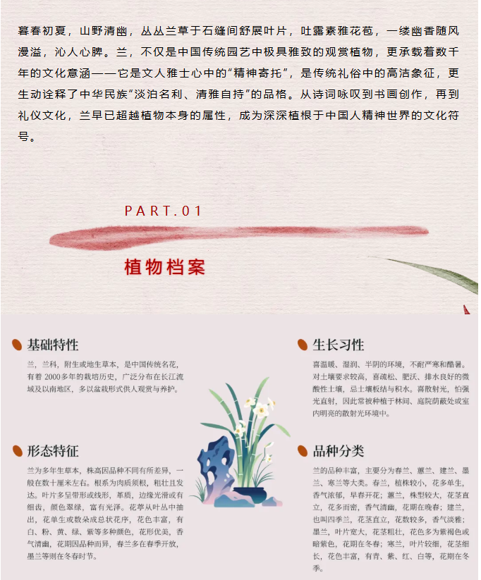 image.png?v=1762124792502