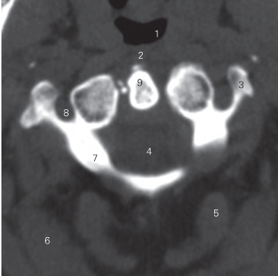 pagenumber_ebook=10,pagenumber_book=1