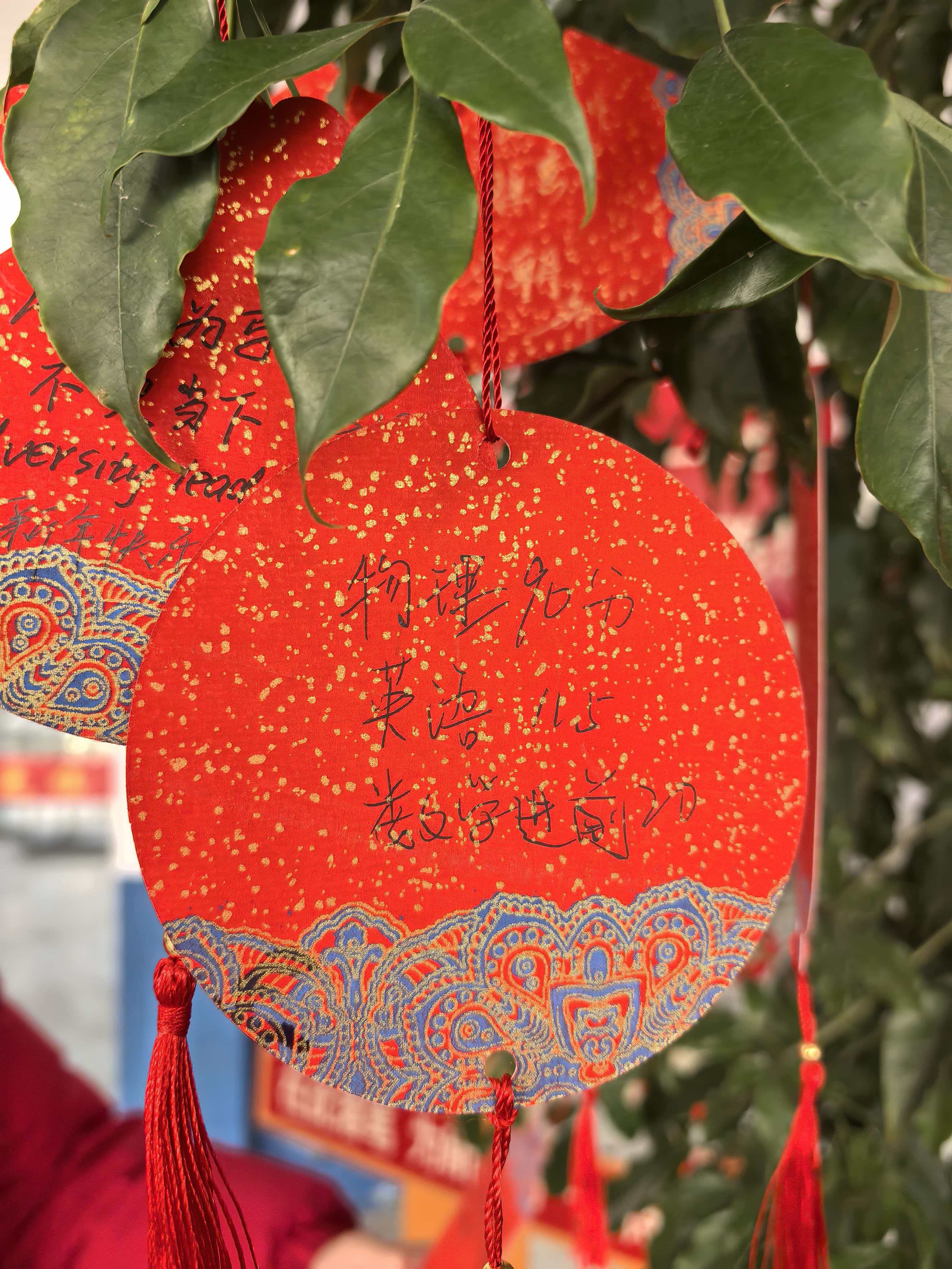 44b9df6a673034b10fcb000c2372d21f 44b9df6a673034b10fcb000c2372d21f.jpg?v=1774082093216