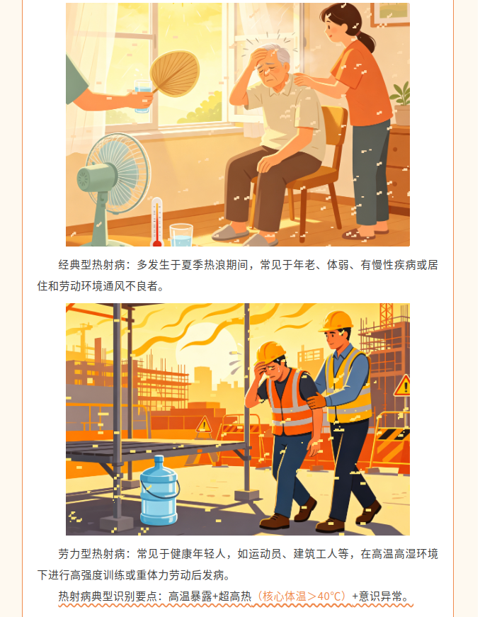 image.png?v=1786662449512