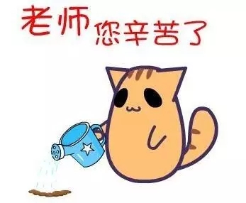 640 (2).webp (8).jpg?v=1770173759997