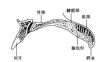 pagenumber_ebook=111,pagenumber_book=102