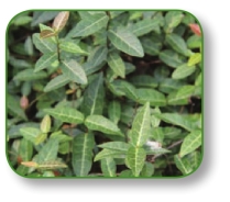 pagenumber_ebook=101,pagenumber_book=88