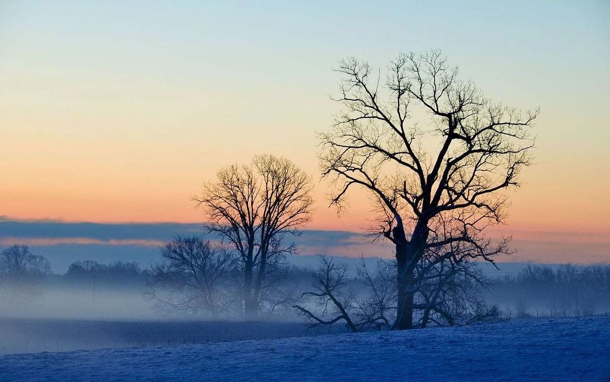 cfd0e608823ecf41a912d07762db79af cfd0e608823ecf41a912d07762db79af.jpg