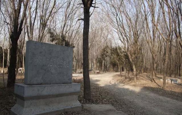 微信图片_20210113102236 微信图片_20210113102236.jpg