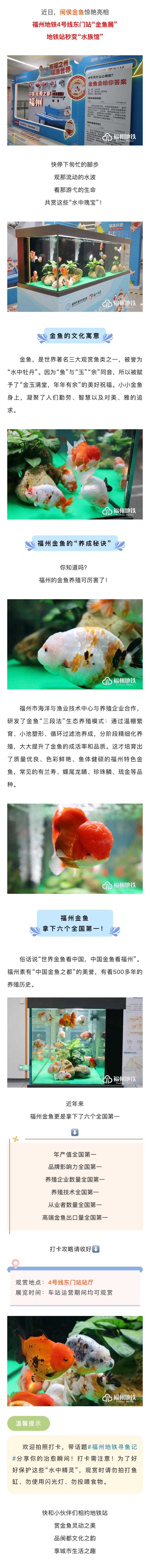 20260112【资讯】福州地铁x闽侯金鱼！地铁东门站秒变“水族馆”2jpg
