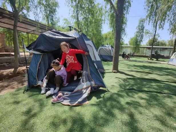 图片10 图片10.jpg