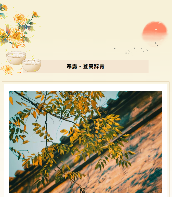 image.png?v=1791932156688