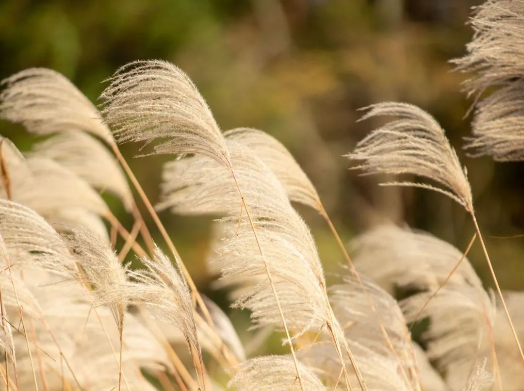 微信图片_20230825171728 微信图片_20230825171728.jpg