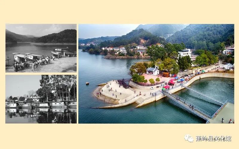 3 3.jpg?v=1766027565543