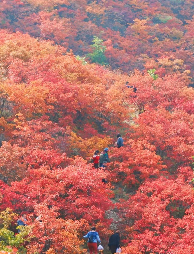 b3834f3175f4b8e4bc5119101cd01a57 b3834f3175f4b8e4bc5119101cd01a57.png