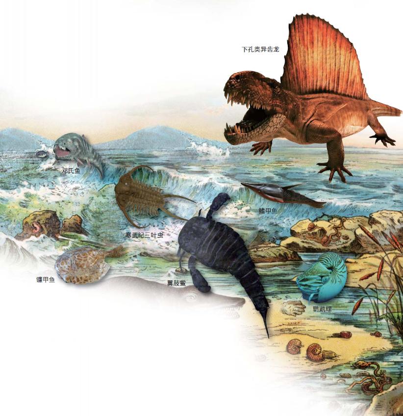 pagenumber_ebook=17,pagenumber_book=6