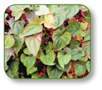 pagenumber_ebook=123,pagenumber_book=110