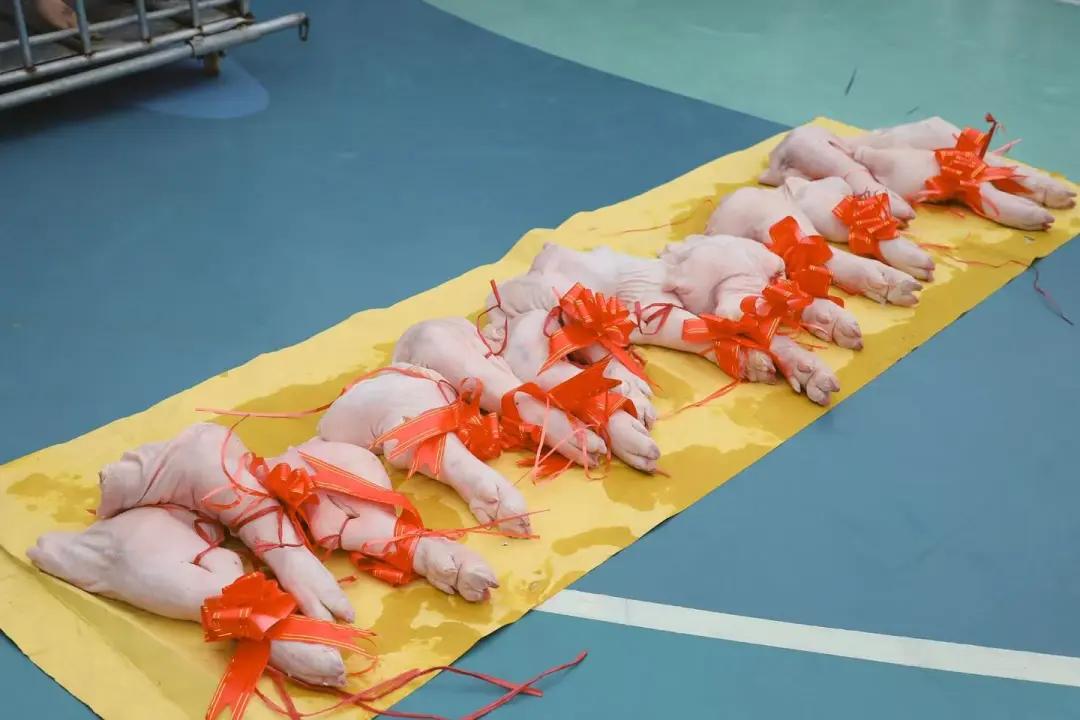 图片64 图片64jpg