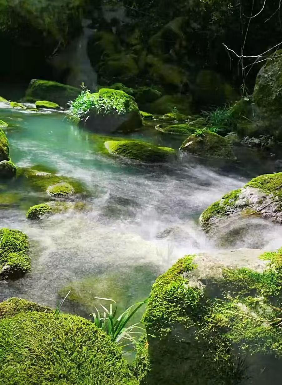 wps_doc_5 wps_doc_5.jpeg