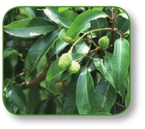 pagenumber_ebook=144,pagenumber_book=131