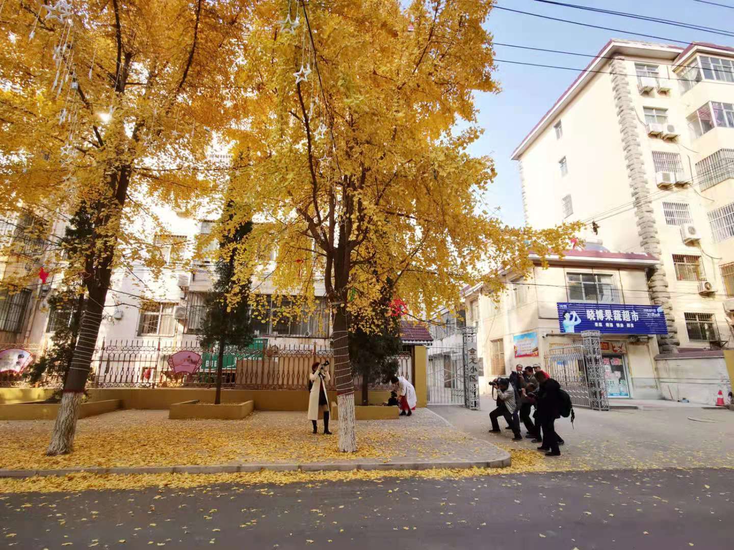 微信图片_2020121420261210