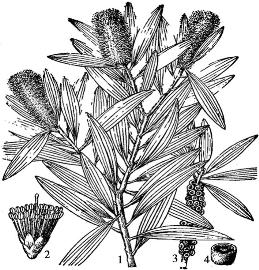 pagenumber_ebook=101,pagenumber_book=101