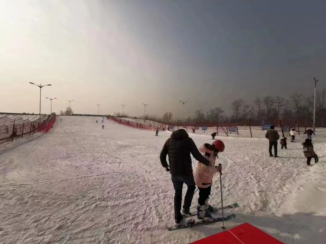 1655327203 1655327203.jpg