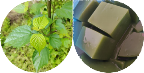 图片 28 图片 28.png