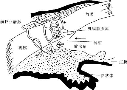 pagenumber_ebook=51,pagenumber_book=51