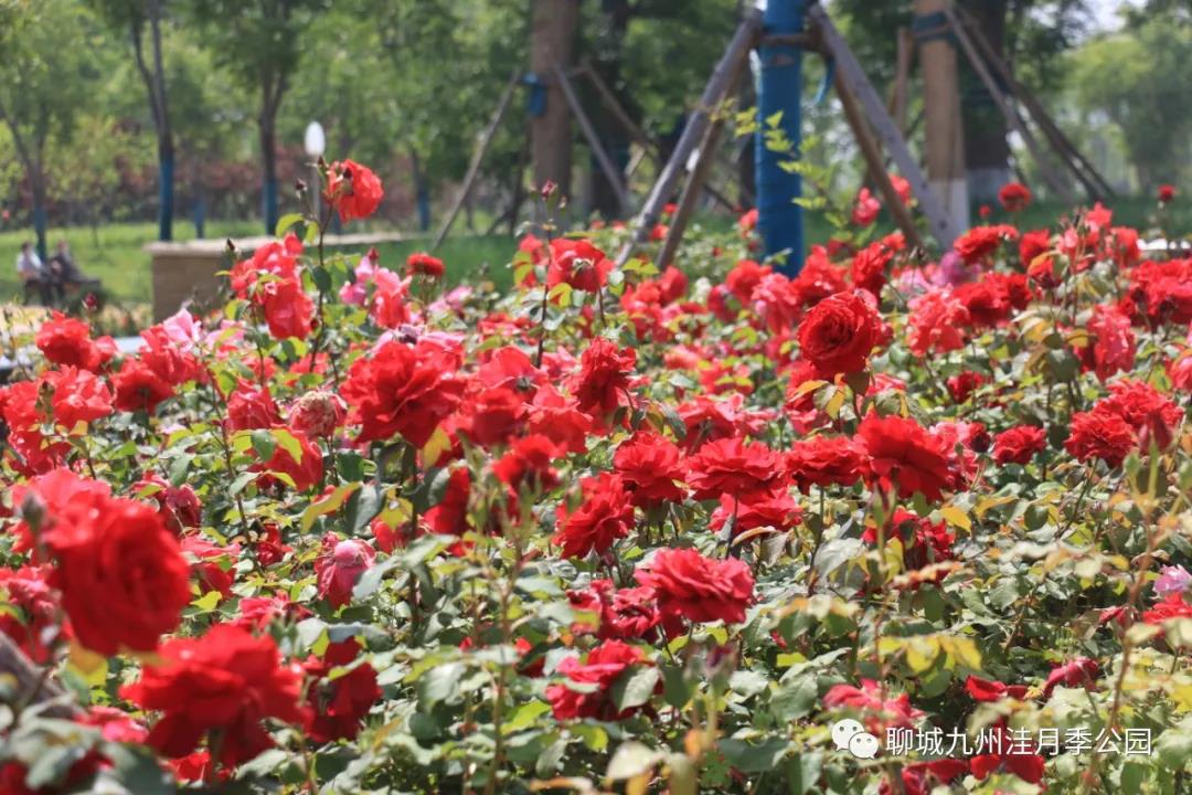 微信图片_20200522110054 微信图片_20200522110054.jpg