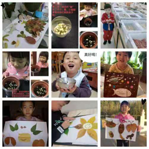 8 8.jpg?v=1772866452502