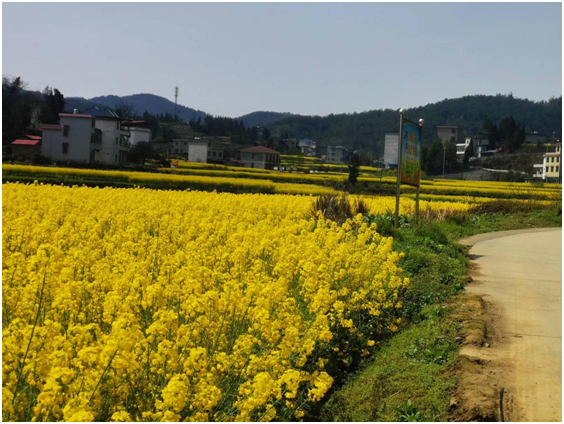 微信图片_20241217154944