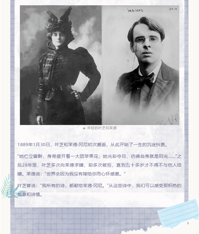 image.png?v=1751770127604