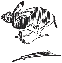 pagenumber_ebook=229,pagenumber_book=221