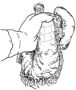 pagenumber_ebook=98,pagenumber_book=83