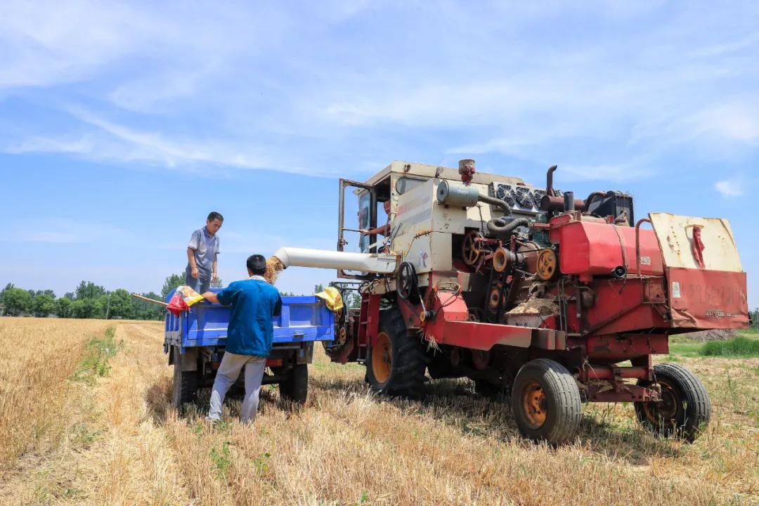 微信图片_20200929085258 微信图片_20200929085258.jpg