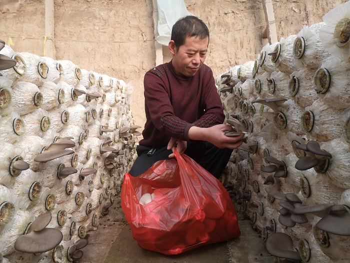 幸福生活 双手创造3