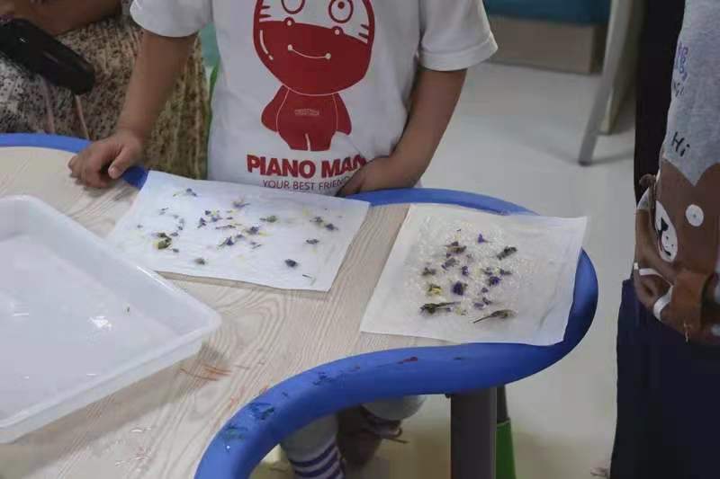 7 7.jpg?v=1772906224137