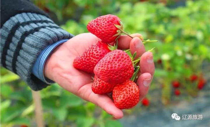 640.webp (11) 640.webp (11)