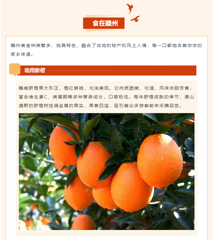 image.png?v=1751557756919