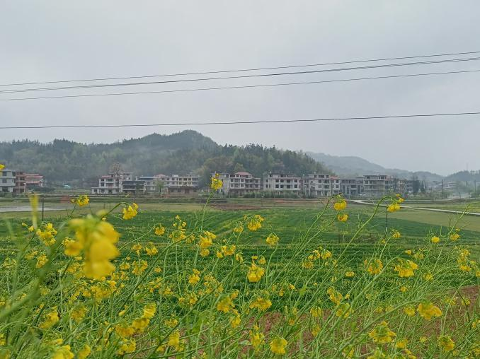 图片 1 图片 1.png