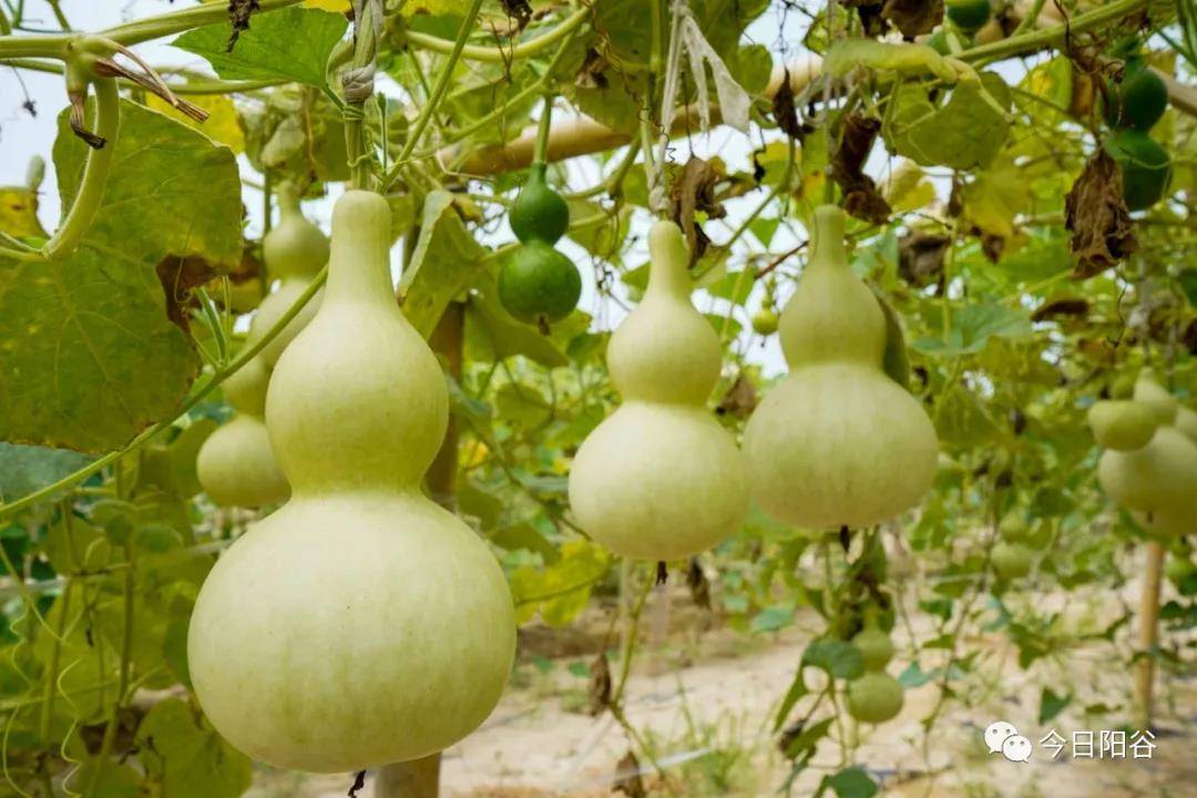 微信图片_20210812101128