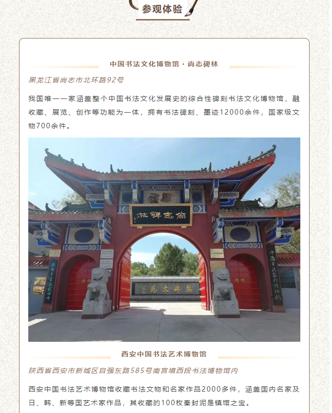 image.png?v=1751557974773