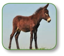 pagenumber_ebook=278,pagenumber_book=265