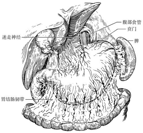 pagenumber_ebook=301,pagenumber_book=286