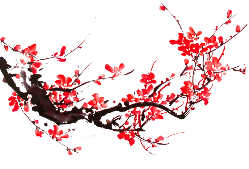 图片1 图片1.png?v=1774484450699