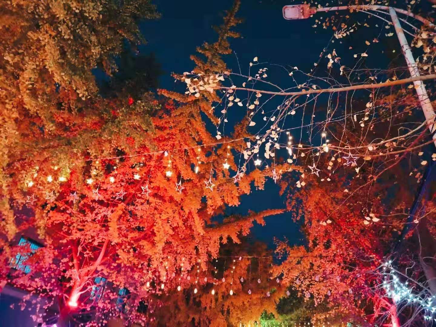 微信图片_20201214182238