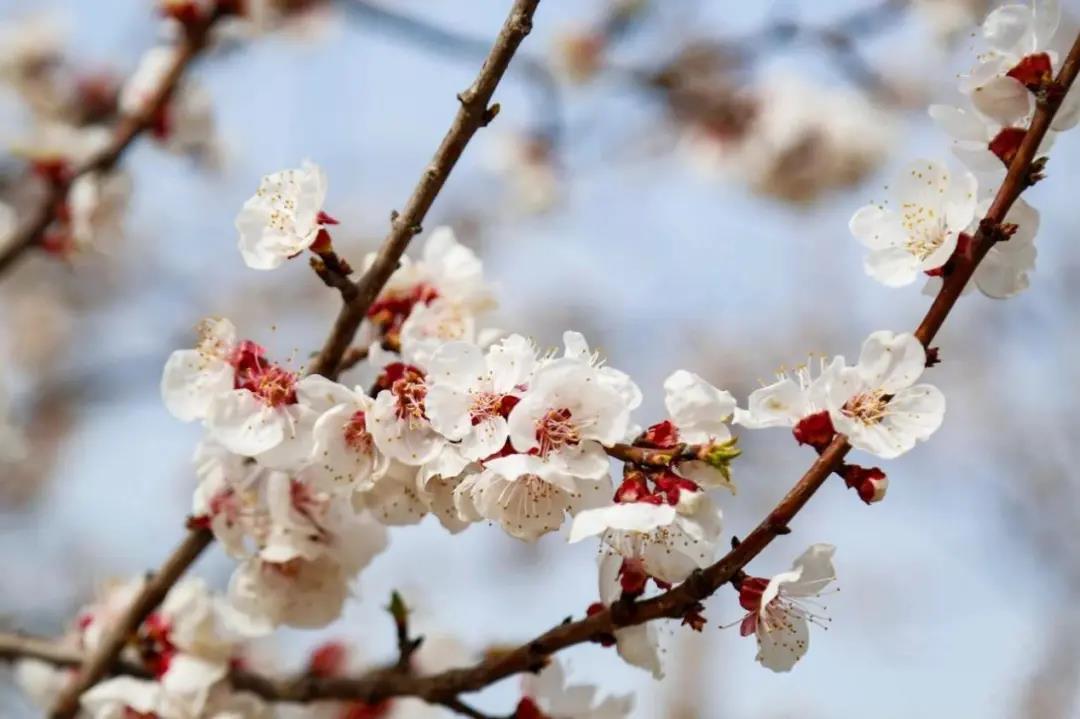 微信图片_20210406102544 微信图片_20210406102544.jpg