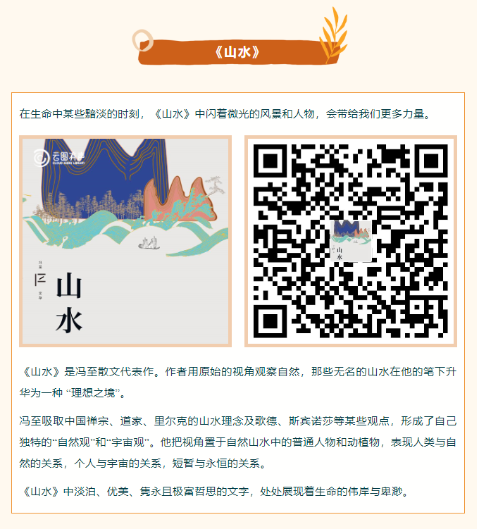 image.png?v=1754494547999